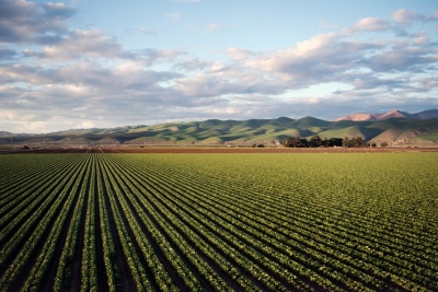 Tecnología Israelí permite al sector agrícola estadounidense reducir el uso de herbicidas