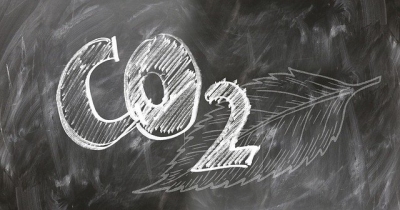 Científicos  israelíes reconfiguran bacteria para que "coma" dióxido de carbono