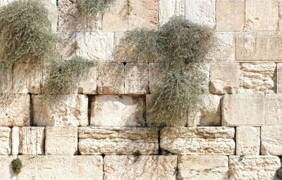 VIDEO: 15 cosas que no sabías de Jerusalén