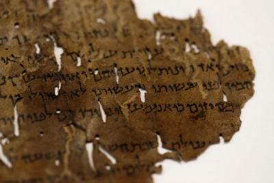 El ADN de los Manuscritos del Mar Muerto dan claves para su comprensión
