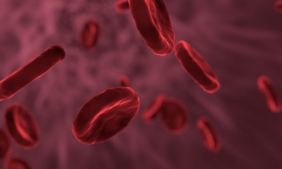Un diagnóstico de sangre en apenas minutos gracias a tecnología israelí